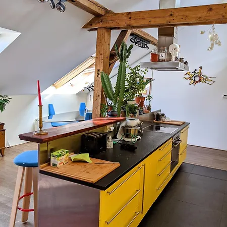 Guestrooms, Rooftop With Garden, Spacious Living Room, Character And Fireplace Penzion *