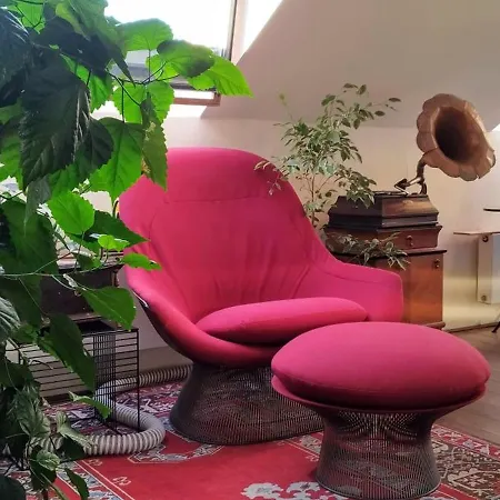 Guestrooms, Rooftop With Garden, Spacious Living Room, Character And Fireplace Penzion