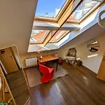 Guestrooms, Rooftop With Garden, Spacious Living Room, Character And Fireplace *