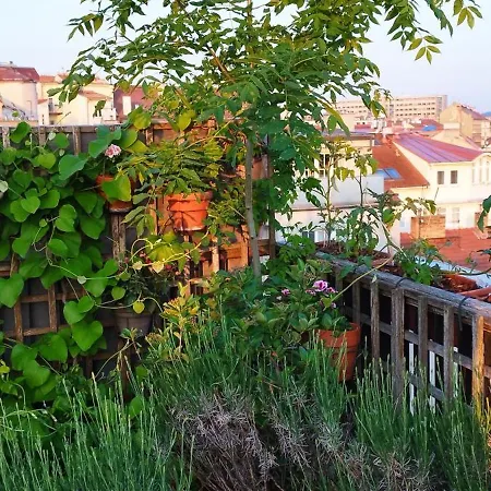 Maison d'hôtes Guestrooms, Rooftop With Garden, Spacious Living Room, Character And Fireplace