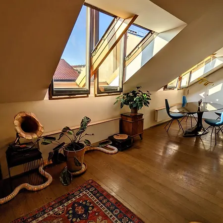 Guest house Guestrooms, Rooftop With Garden, Spacious Living Room, Character And Fireplace *