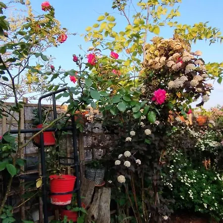 Guestrooms, Rooftop With Garden, Spacious Living Room, Character And Fireplace * Prague