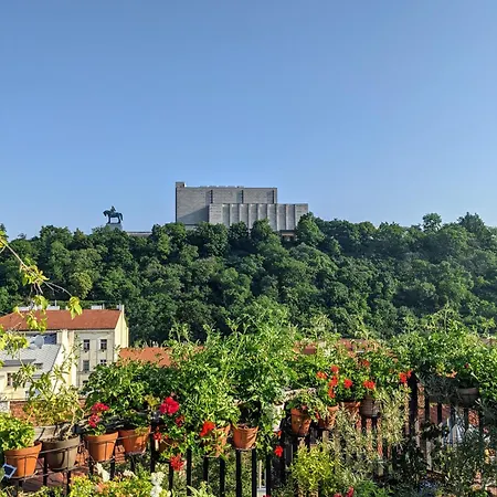 Guestrooms, Rooftop With Garden, Spacious Living Room, Character And Fireplace * Prague